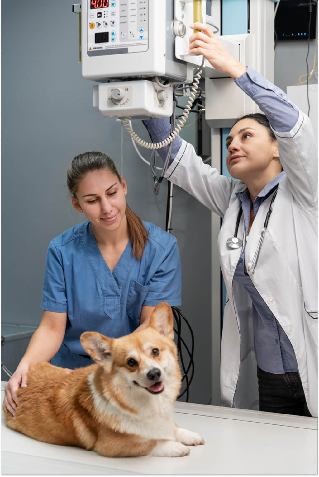 Teljeskörű diagnosztikai szolgáltatások folyamata