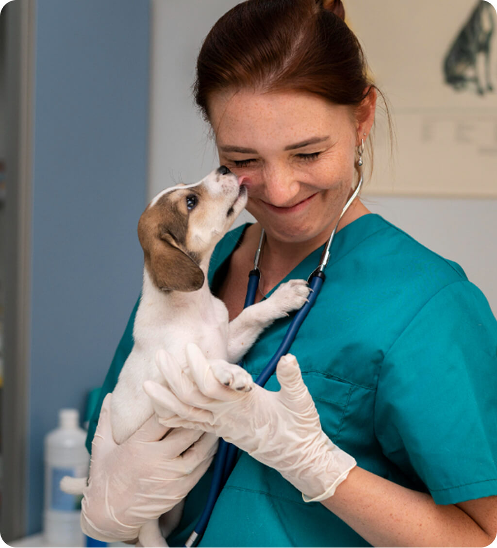 Dr. Katona Ramona vetty rendelo